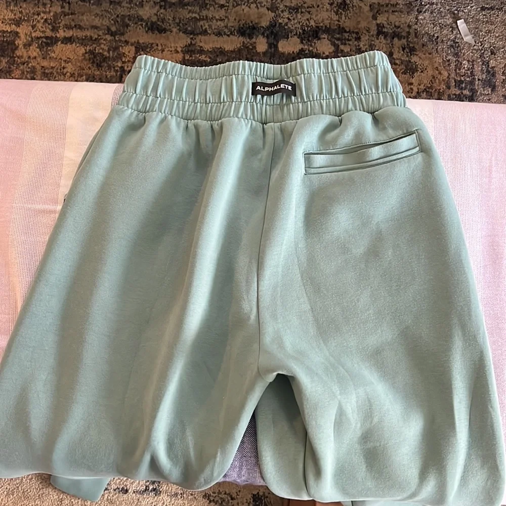 🎉HP🎉Alphalete Women’s Elements Jogger - Picture 2 of 5